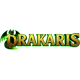 Drakaris Casino Logo slot frame