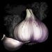 Knoblauch Symbole