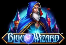 blue-wizard-270x180s