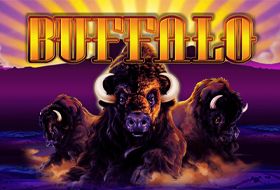 Informationen zu Gameplay und Symbolen Buffalo