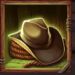 Stetson Symbol