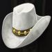 Stetson