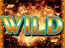 Wild-symbole