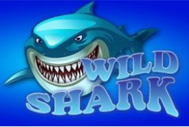 Wild Shark review
