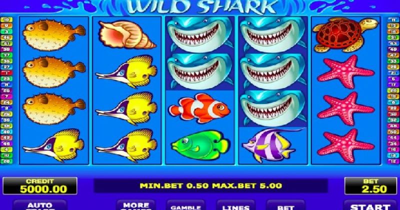 Jetzt kostenlos im Wild Shark Slot Online von Amatic spielen | Ecasinos.at