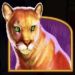 Puma Symbole