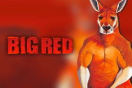 big-red-logo-270x180s