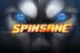 spinsane logo