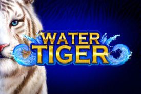 Water Tiger review